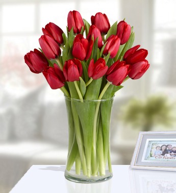 Tulips Love 20